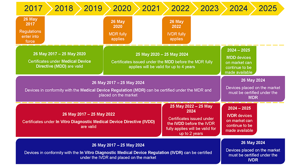 Infographic of Medical Translation growth